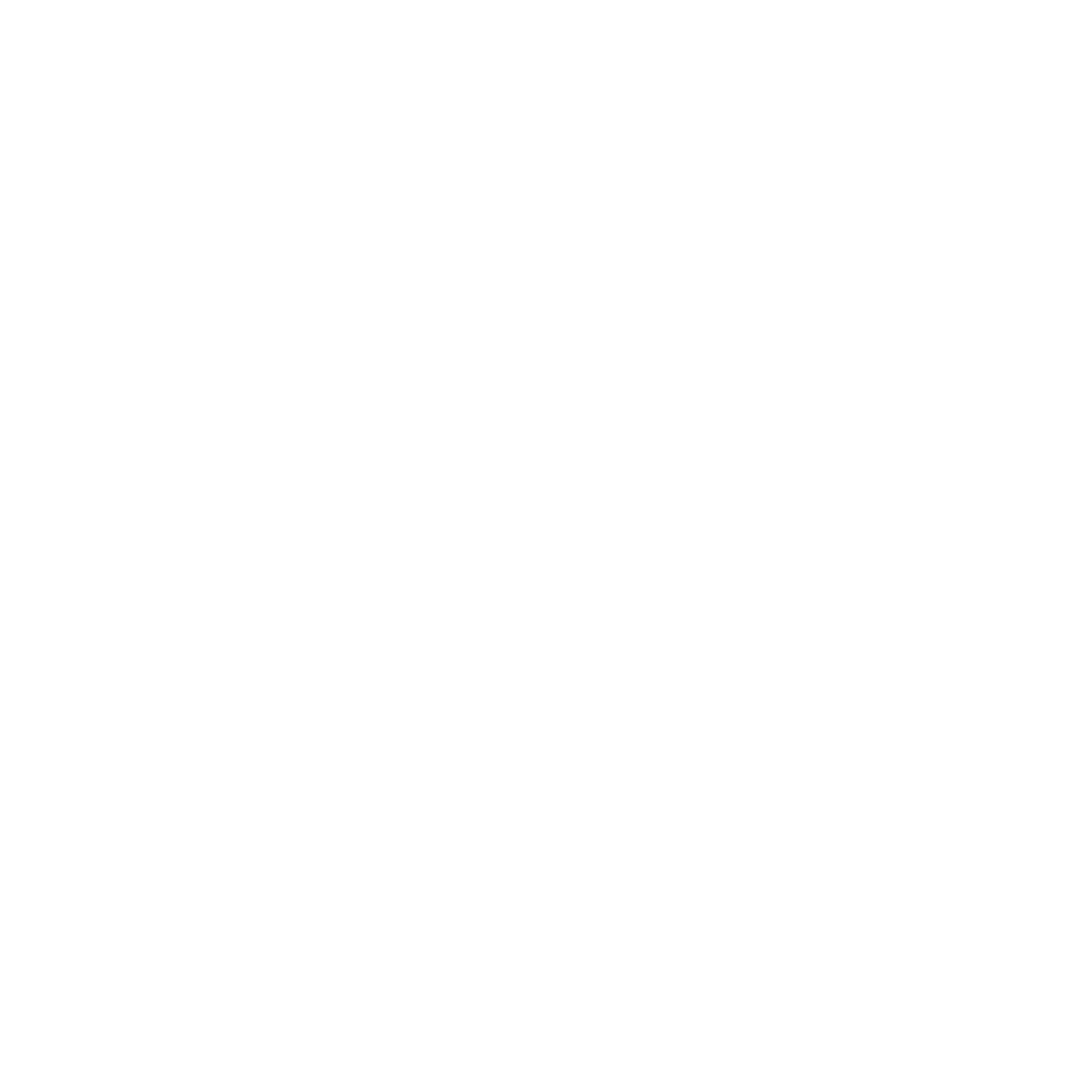 BizNet